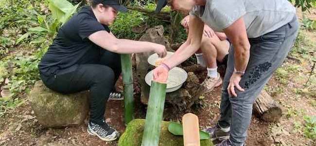 1 Day Learning: Bamboo