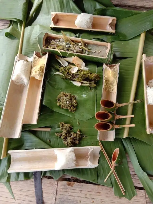 1 Day Trek: Bamboo