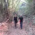 1 Night Trek #2