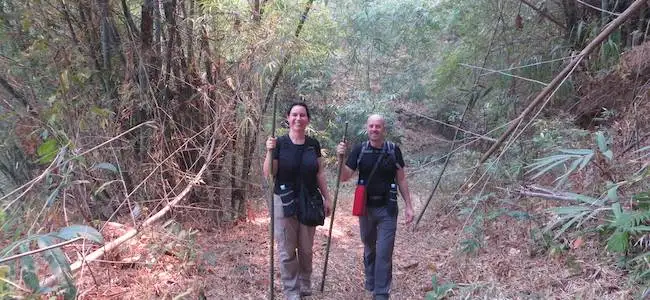 1 Night Trek #2