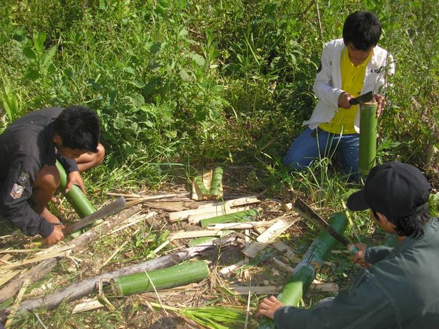 1 Day Learning: Bamboo