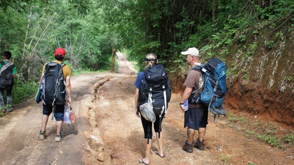 1 Day Trek: Bamboo